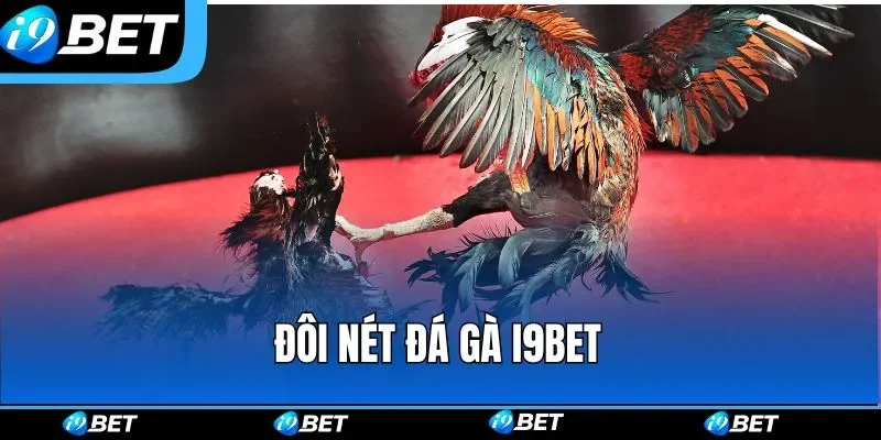 Đôi nét đá gà i9bet