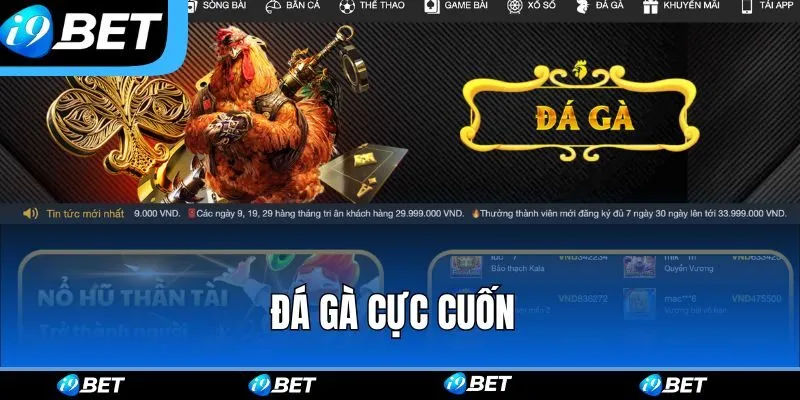 Đá gà i9bet cực cuốn với tỷ lệ thưởng cao