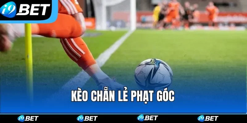 Cược chẵn lẻ đòi hỏi người chơi khá nhiều về mặt may mắn Cược chẵn lẻ đòi hỏi người chơi khá nhiều về mặt may mắn