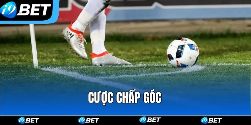 Chấp góc luôn được các tay chơi chuyên nghiệp ưu tiên lựa chọn Chấp góc luôn được các tay chơi chuyên nghiệp ưu tiên lựa chọn