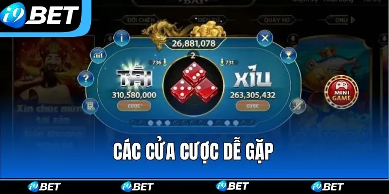 Các cửa cược dễ gặp Các cửa cược dễ gặp