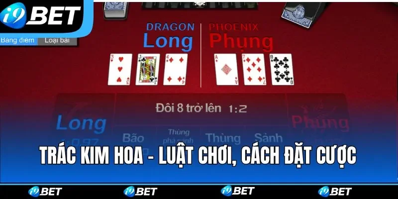 Trác Kim Hoa - Luật Chơi, Cách Đặt Cược và Mẹo Thắng Lớn