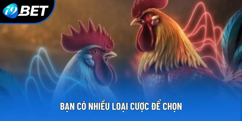 Bạn có nhiều loại cược để chọn