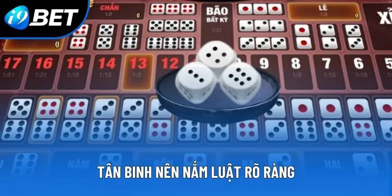 Tân binh nên nắm luật rõ ràng Tân binh nên nắm luật rõ ràng